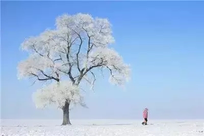 吉林霧凇島——非雪非冰皆是霜-電老虎網